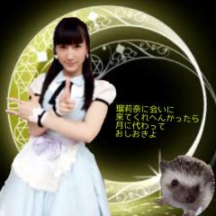 きょっきょん(瑠莉奈心支)