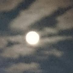 千晃とあいりのトーク