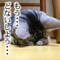 ←これがLINEのプロフィールとかカバー画像だったら引きますか？