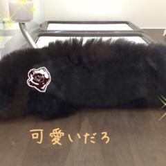 ディズニーの話やディズニーツムツムの話