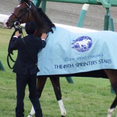 たかやのトーク