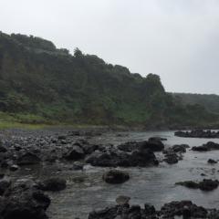 しゅん君の部屋