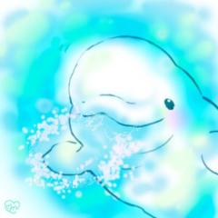 かののん