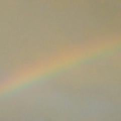 マッチュのトーク