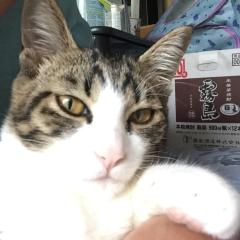 えりやん