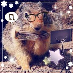 まくら💕セレッソール