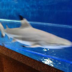 ハッピーとーく