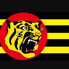タイガース命