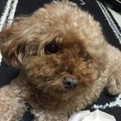 誰かかまって😊