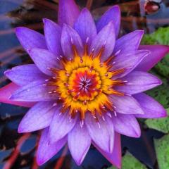 *お返事貰えたょ💖