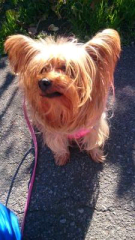 ルウクのトーク