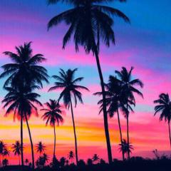 乃々華とさりなとりこのトーク