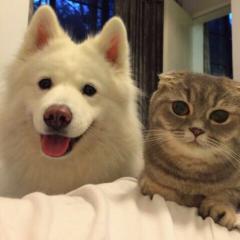 どなたでも大歓迎？