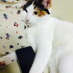 動物好きな皆さん！！是非話しませんか？女子2人が相手します！