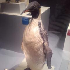 ホールド・ナッツ