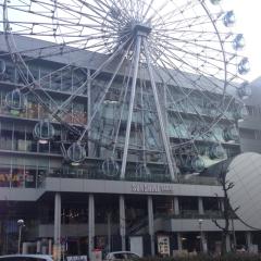 マーライオンｽｷﾞﾌｫｲ