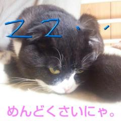 マリゅのトーク