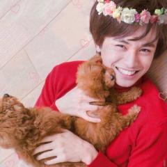 中島健人(nr)のトークルーム