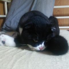 嵐が好きな人！トークしよ♡