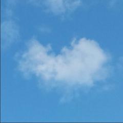 面白い言葉、選手権♥