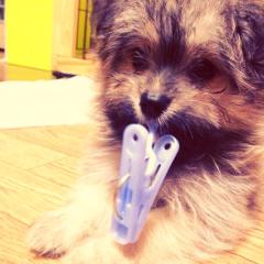 かなえもんのトーク