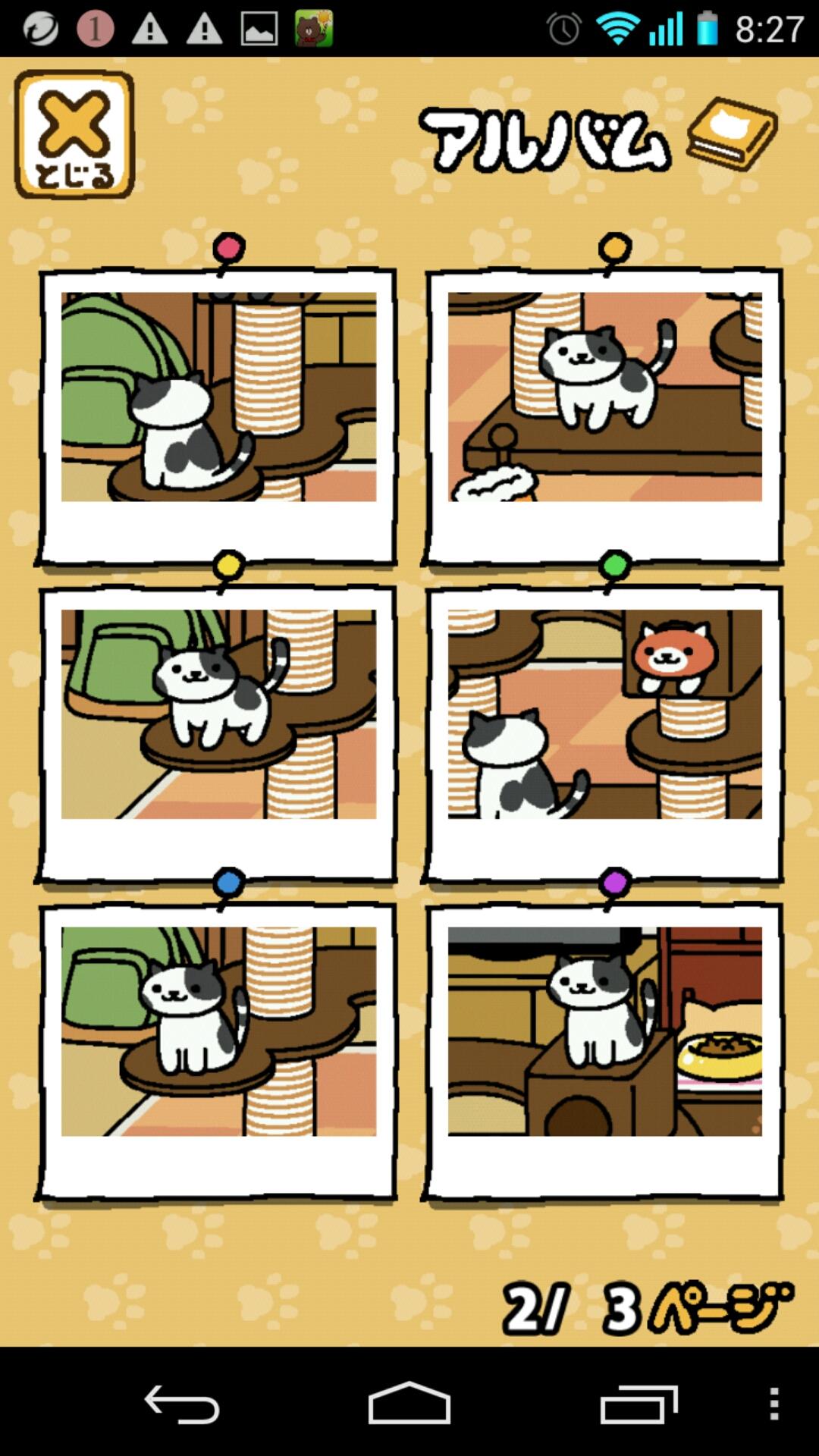 投稿画像