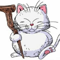 レインゲンマメのトーク