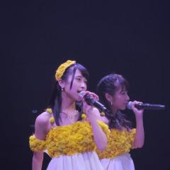 よしかわ俊輔