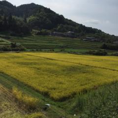 ふぁなっくの雑談部屋