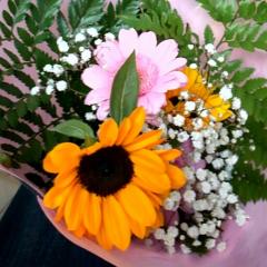 anne.(≧∇≦)のお部屋