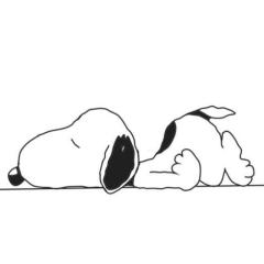 ななみ\( •̀ω•́ )/