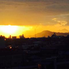 映画好き居ませんか？