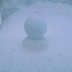 北海道から最速で返信