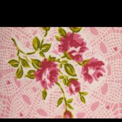 雑談しましょん！😽