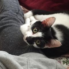 風邪っぴき野郎