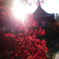 富士さん（🍒さくちゃん命名🌸）のトーク