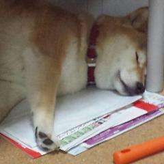 工事♪
