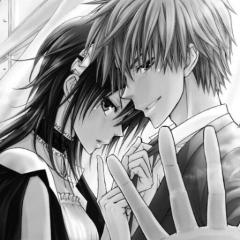 会長はメイド様好きな人