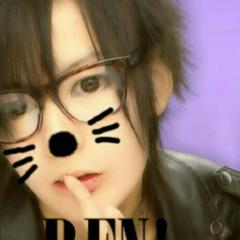 横浜中華街の捨て猫