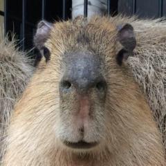 君の名はキー坊◢