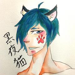 黒夜猫
