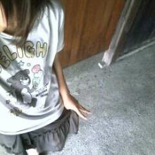 lovebit