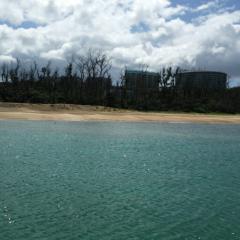 何か語り合いましょう