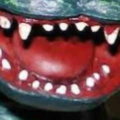 有名人からの返事リスト
