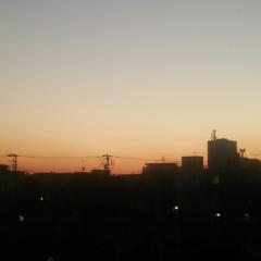 都会のくまさん