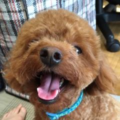 ミッツ（NO マングローブ)