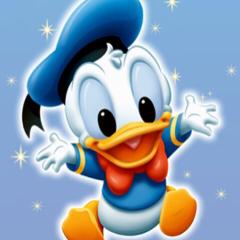 ドナルド(・ω・)ノ✨