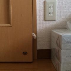 (￣▽￣)