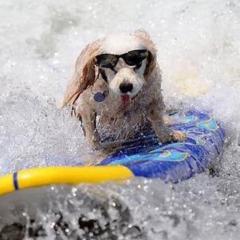 ༺ᎶᎯℕᎶ༻のトーク