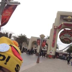 ちさ🔖(´ー｀*)